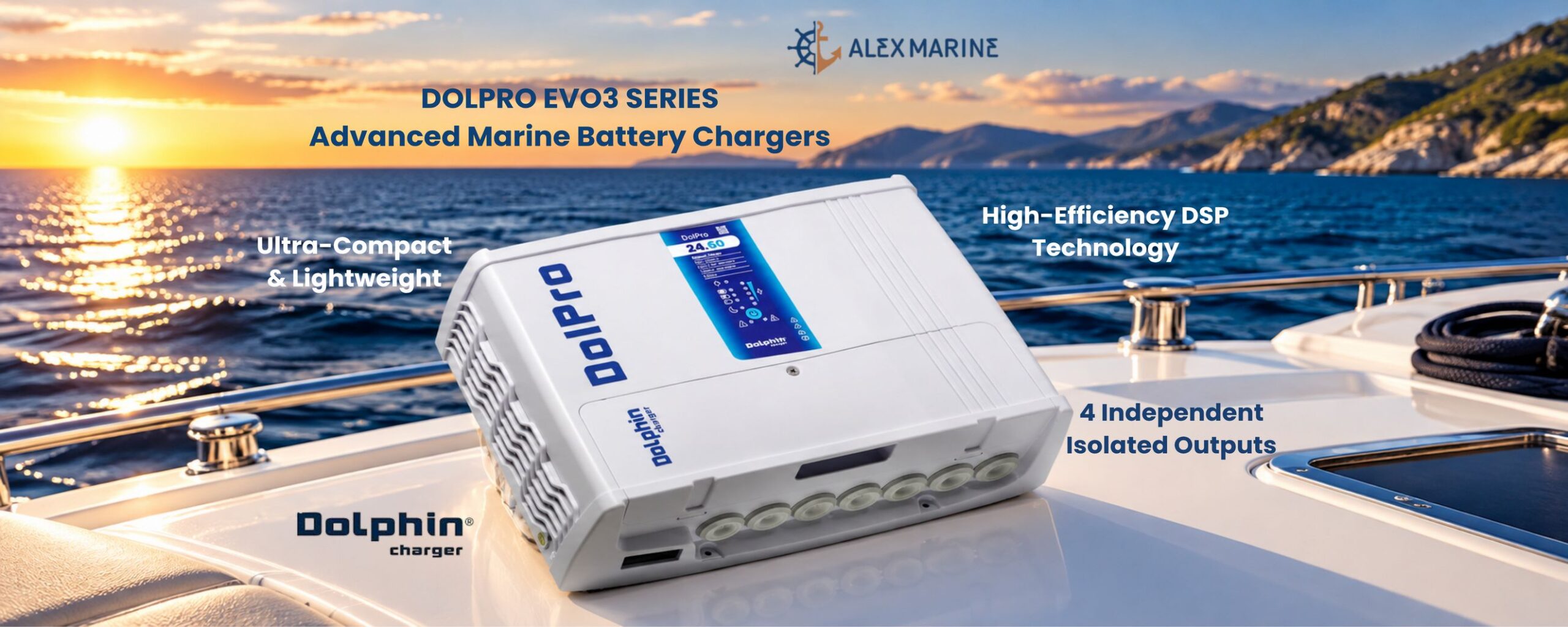 AlexMarine_Dolphin ENG